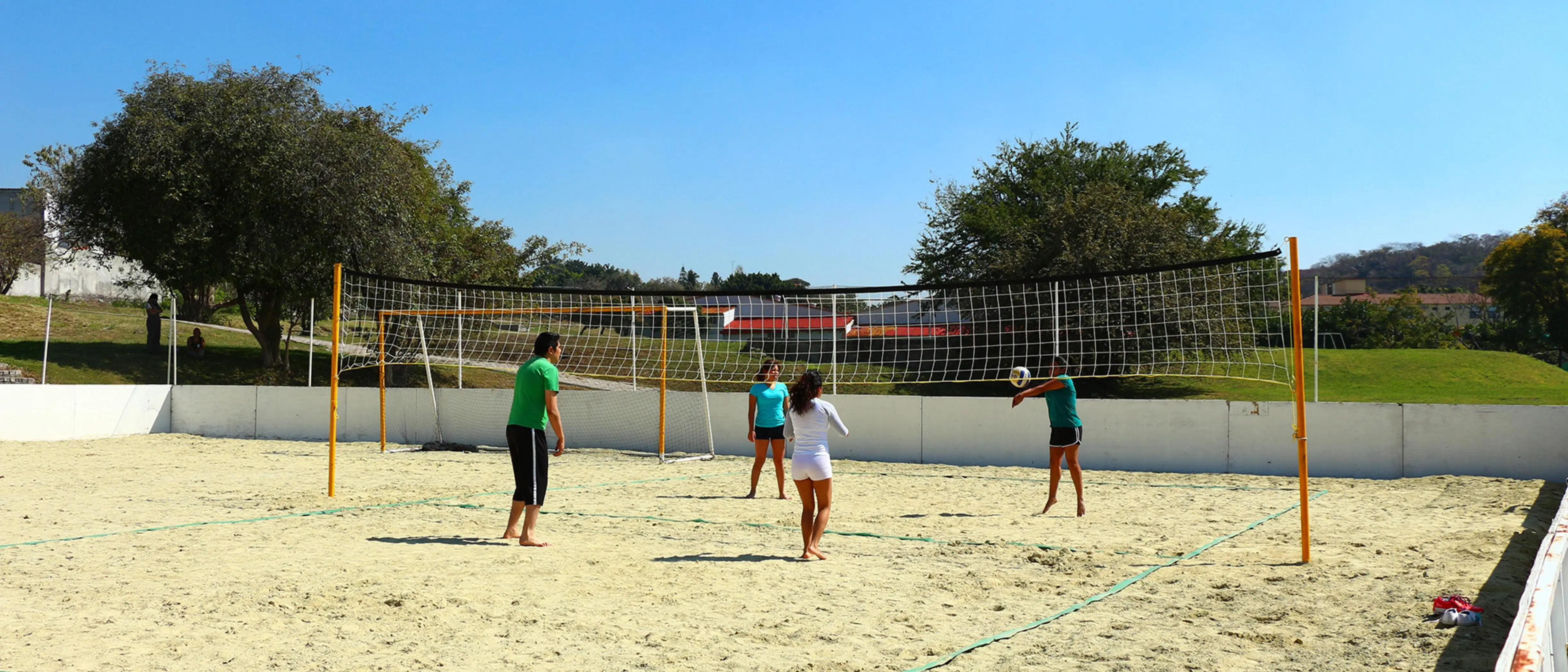 Voleibol en Arena